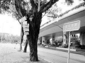 罗先生最新爆料,揭秘娱乐圈惊天秘密！